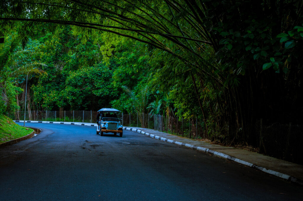 3 Reasons Corporate Teams Are Choosing Ikogosi for Strategy Retreats 7 MOS4606