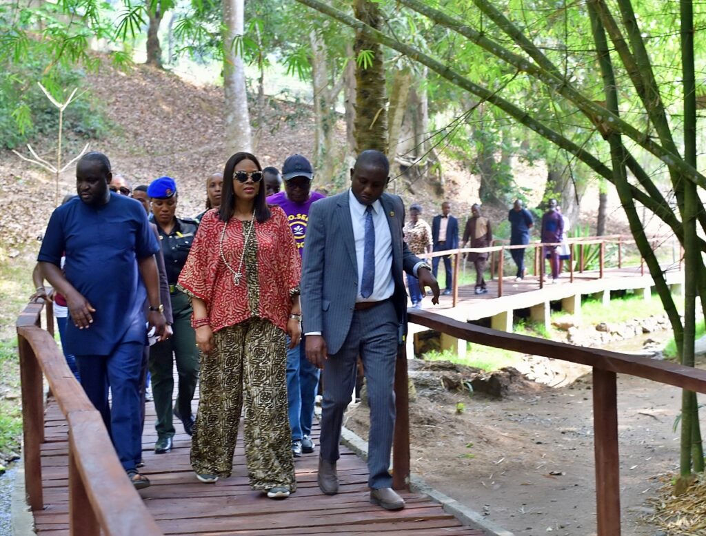 Ikogosi Warm Springs Resort Partners with Ekiti State Government to Promote Adire Ekiti 1 ikogosi ekiti adire